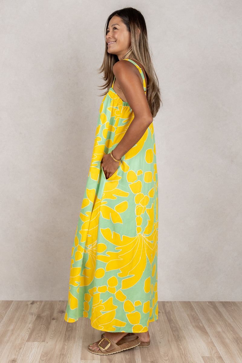 Miki Maxi (Sunshine Palm)