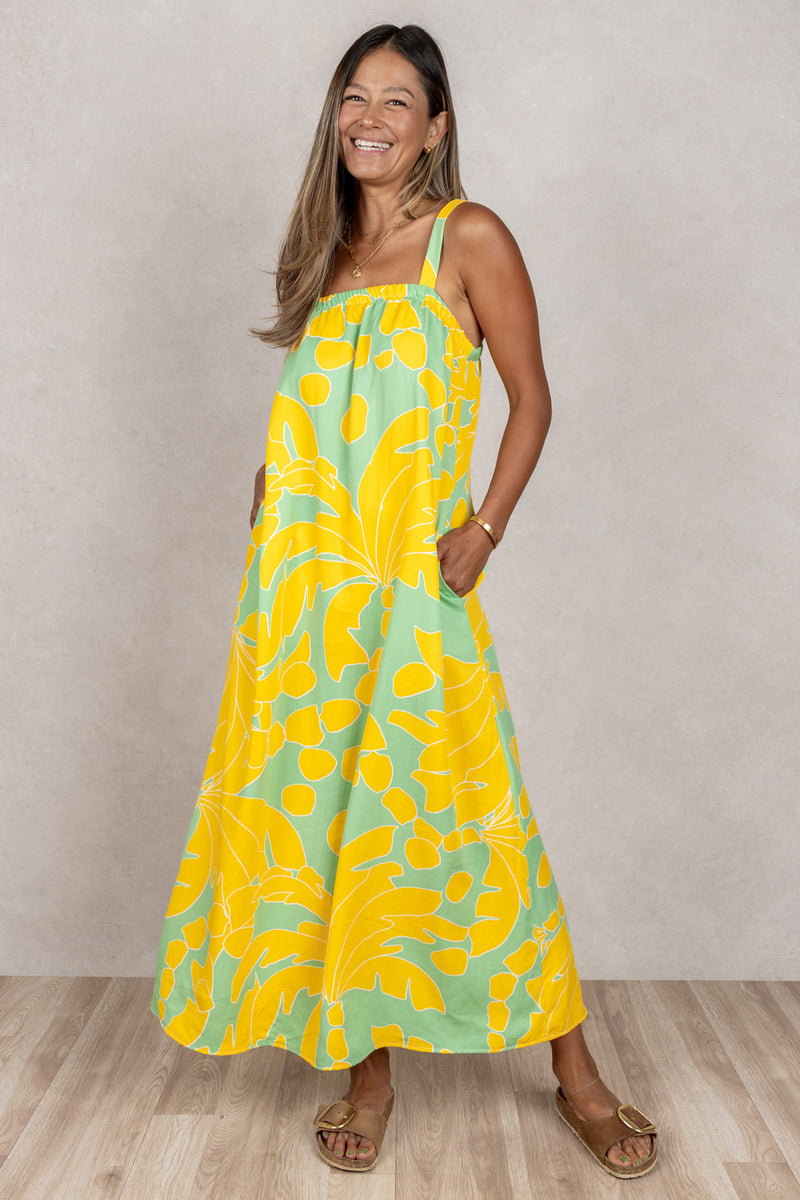 Miki Maxi (Sunshine Palm)