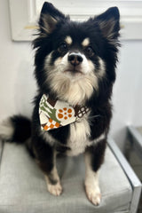 Dog Bandana 1SZ (Nishime)