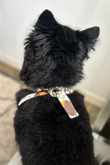 Dog Bandana 1SZ (Nishime)